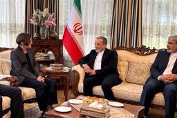 پشت پرده دیدار ناگهانی رئیس صلیب سرخ با عراقچی: چه مسائلی مطرح شد؟
