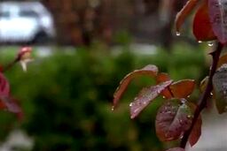 بحران بی‌آبی بیخ گوش پایتخت! تهران ۲۰۰ میلی‌متر باران از دست داد؛ آیا فاجعه در راه است؟