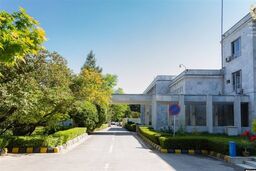 چرخش عجیب طالبان: محکومیت حمله به مسجد شیعیان در اسلام‌آباد