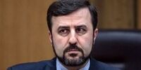 رسوایی در راه است؟ سهم ایران از جام جهانی در گرو تعیین تکلیف نمایندگان!