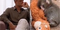 باورنکردنی: ستاره رئال را غرق در اشک پای این میمون معروف ببینید!