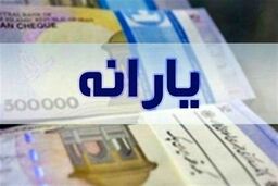 با این راهکارها یارانه نقدی ۱۴۰۵ را بازگردانید!