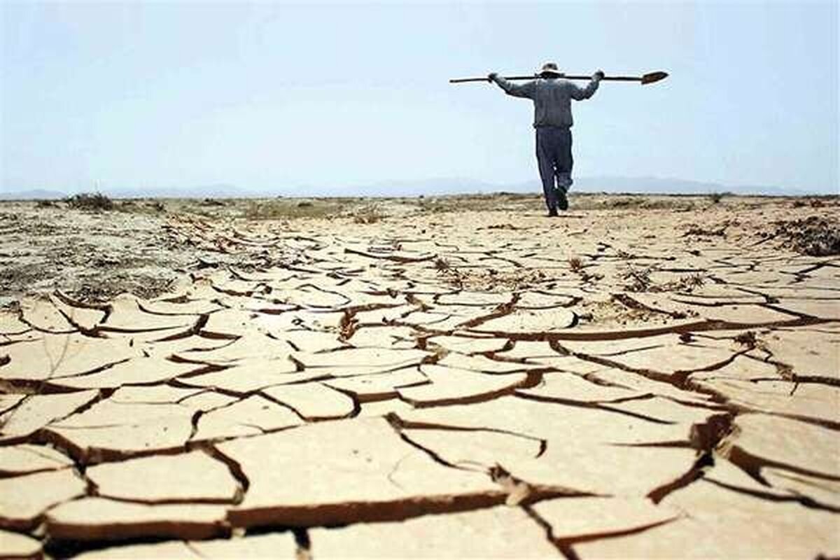 فاجعه ۴۰ همتی: بزرگترین ضربه تاریخ به کشاورزی خوزستان/ آیا کسی پاسخگوست؟