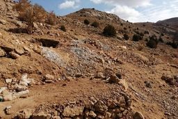 دست عربستان به سمت روسیه دراز شد