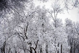 ایران در شوک: ۲۰ استان از فردا زیر طوفان سهمگین می‌رود!