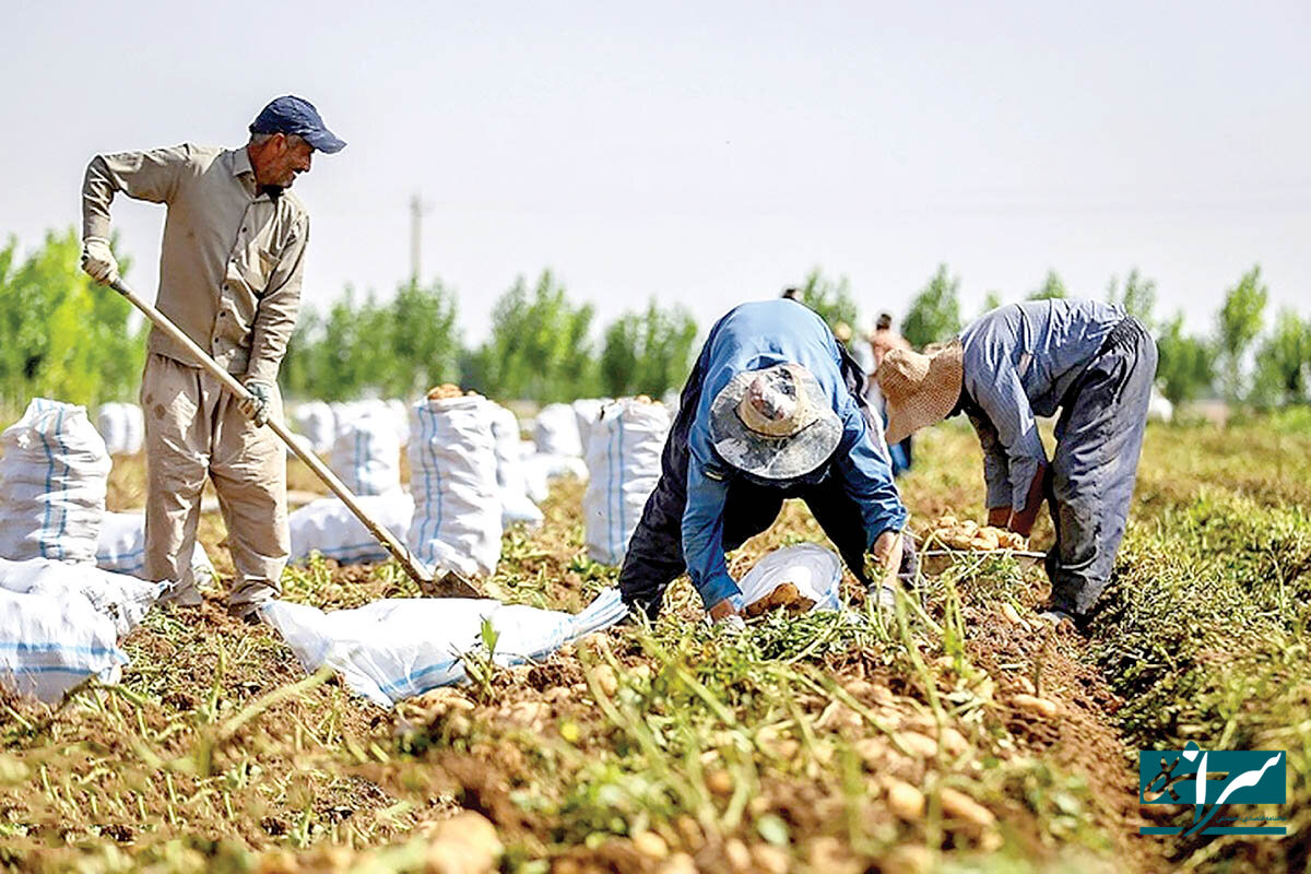ایران و چین آماده همکاری جدید