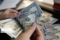 افشاگری اطلاعات: پشت پرده حذف ارز ترجیحی؛ سود میلیاردی نصیب «مافیای احتکار» شد!