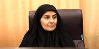 بمب خبری وزیر برای خانه‌دار شدن میلیون‌ها ایرانی: بسته حمایتی بی‌سابقه در راه است!
