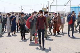 خطر بزرگ افغانی ها برای این ۵ بازار ایران
