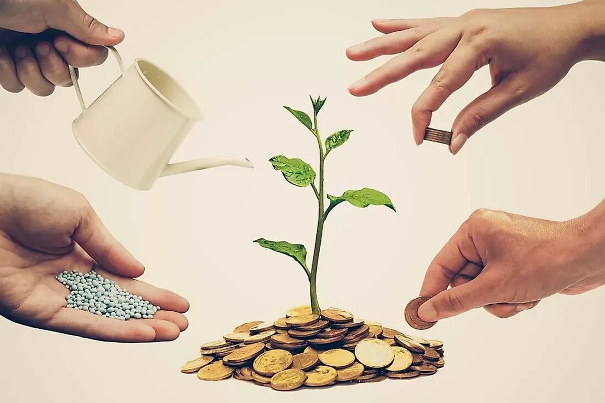 بانک مرکزی؛ ناجی تعاونی‌های اعتبار یا غارتگر نقدینگی؟
