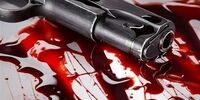 سرقت کلکسیون اسلحه از خانه پزشک