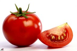 گوجه فرنگی در این تاریخ ارزان می‌شود