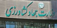 فاجعه در راه است؟ تمهیدات ارزی دولت در خطر؛ بازار نهاده‌ها منفجر می‌شود!