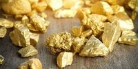 ۳ تبعه هندی در ایران مفقود شدند