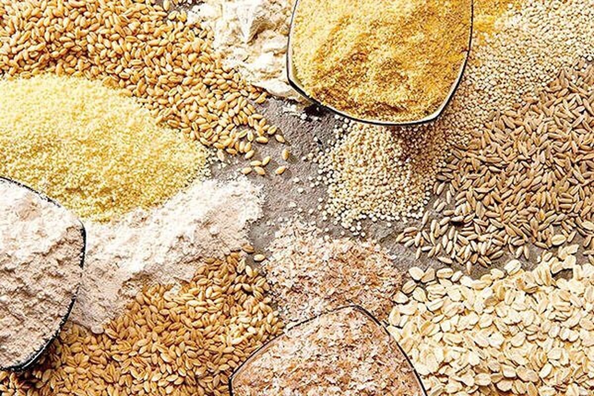 رسوایی یارانه: چگونه صنعت ما از مغز خالی شد؟