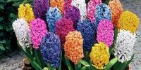 فعالیت بانک ها تا این تاریخ
