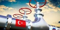 ترکیه به سوخت ارزان روسیه وابسته شد؟ فاش شدن رقم شوکه‌کننده صادرات گاز