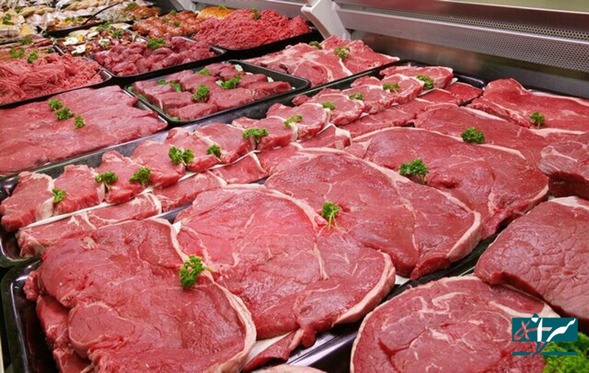 گوشت با قیمت جدید به بازار آمد – ۱۳ اسفند ۱۴۰۳