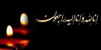 فوری /  فرزند رهبر معظم انقلاب در سلامت کامل است