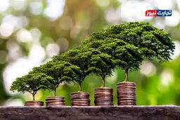 کلاهبرداری بزرگ یا ناجی سیاره؟ راز بازار ۵۸.۸ میلیارد دلاری اقتصاد سبز برملا شد!