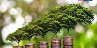 شوک در مکزیک: آیا «اقتصاد سبز» آگوئاسکالینتس یک فریب بزرگ است؟