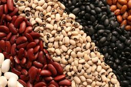 ممنوعیت جدید، بلای جان اقتصاد می شود؟