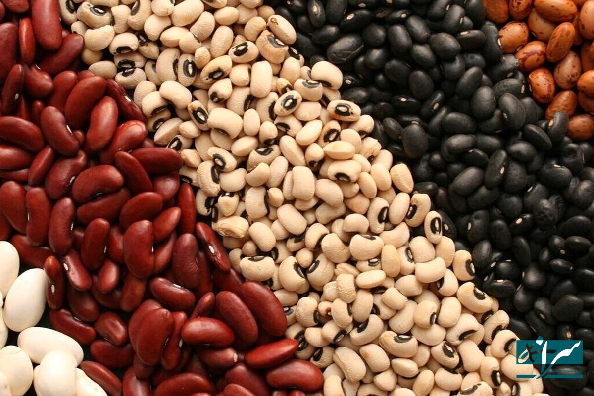 پرفروش‌ترین کالاهای طرح کالابرگ اعلام شد