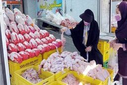 نماینده مجلس: با این فرمان، مرغ را باید کیلویی نیم میلیون تومان بخریم! (ویدئو)