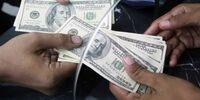 نقاب آرامش همتی: دلار ۱۴۷ تومانی، واقعیت تلخ بازار ارز را فریاد می‌زند!