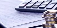 حقیقت تکان‌دهنده: مالیات خریدتان در جیب کدام شرکت‌ها می‌رود؟