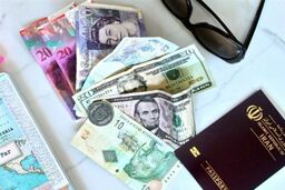 دولت بالاخره سکوت را شکست: ۲۴ سوال کلیدی درباره ارز مسافرتی که زندگی شما را تغییر می‌دهد!