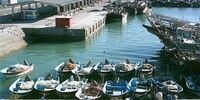 جبلی فرمان صادر کرد: آشفتگی شهرک‌های سینمایی صداوسیما پایان می‌یابد؟