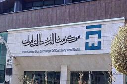 شوک بزرگ در بازار ارز: پتروشیمی‌ها با ارز خود به تالار دوم هجوم می‌آورند!