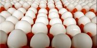 شوک بزرگ در بازار تخم مرغ: قیمت شانه ای به زیر ۳۰۰ هزار تومان سقوط کرد!