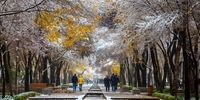 این استان ها آماده برف باشند