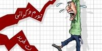 کالاهای اساسی چرا گران شدند؟ /  نقش دو نرخ ارز در بازار
