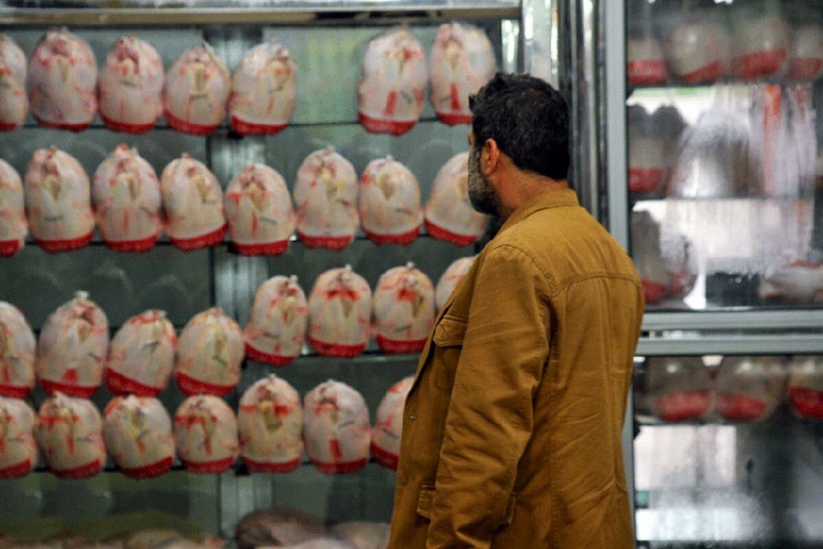 قیمت جدید سینه، ران و بال مرغ در بازار (۲۶ فروردین ۱۴۰۳) + جدول