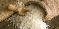 علت گرانی برنج رسما اعلام شد