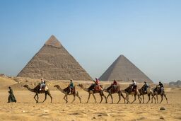 تصمیم طلایی مصر برای پیشرفتی بزرگ!