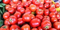 افزایش قیمت عجیب گوجه‌فرنگی در آمریکا!