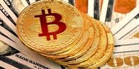 بیت‌کوین غرق شد! ریزش ۲ هزار دلاری قیمت، چه کسی مقصر است؟