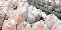 شوکه‌کننده: نهاده دامی در مبادی ورودی، اما چرا توزیع نمی‌شود؟