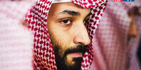 خلیج فارس گورستان گرازماهی‌ها؛ آیا انسان‌ها عامل این فاجعه‌اند؟