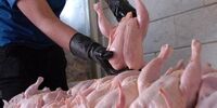 شوک جدید گرانی گوشت و مرغ: نرخ‌های نجومی اعلام شد!