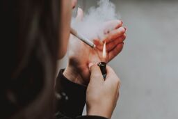مالدیو رسماً سیگار را ممنوع کرد: آیا جهان در آستانه انقلاب ضد دخانیات است؟