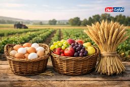 فاجعه ۵۰۰ میلیون دلاری: فرصت طلایی صادرات کشاورزی چگونه به باد رفت؟