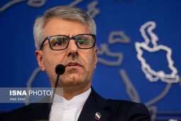 بقایی: ژنو وارد فاز خطرناکی می‌شود! آماده‌باش کامل ما برای مذاکرات جنجالی