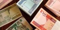 فوری: ۶ بهمن ۱۴۰۴، قیمت افغانی از کنترل خارج شد! آماده‌باش اقتصادی