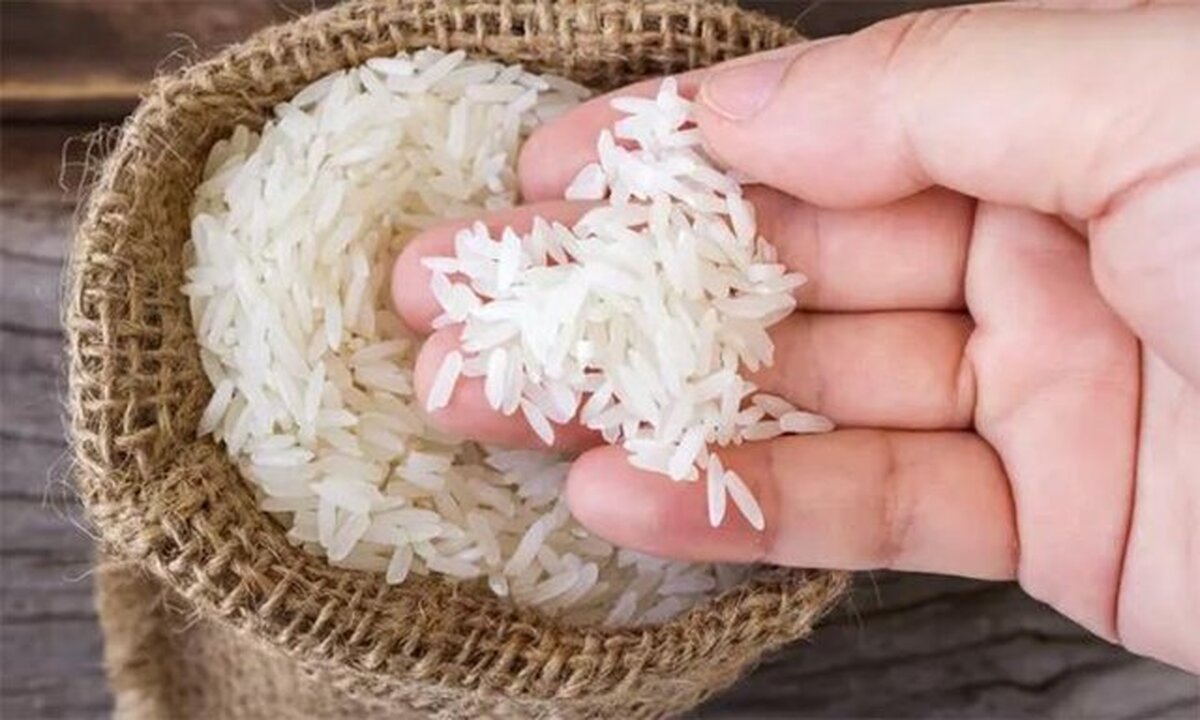 اعتراف جنجالی رئیس بنکداران: مردم را مجبور به خرید برنج هندی گران‌تر از بازار می‌کنیم!