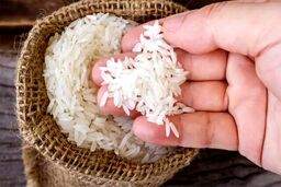 اعتراف جنجالی رئیس بنکداران: مردم را مجبور به خرید برنج هندی گران‌تر از بازار می‌کنیم!